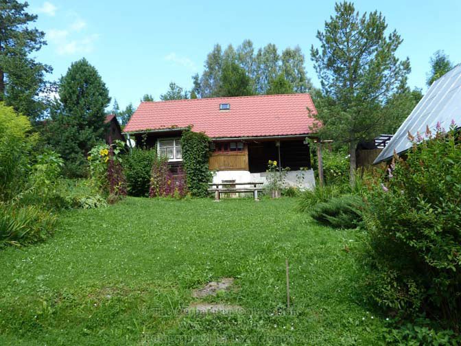 Modern improvements to log home